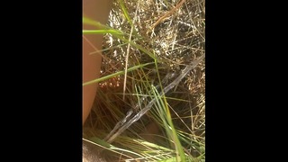 Hippie Girl Pees Naked În timp ce se plimba pe natură