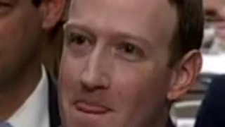 The ZUCC gets FUCKED at Senate Hearing