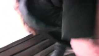 Publicagent Sex in der Öffentlichkeit auf Amateur-Camcorder in Wohnung im Freien gefilmt