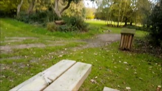 Fuck Me on the Bench in the Nature Backyard