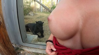 Geil geworden in de dierentuin buiten Kom klaar op haar enorme borsten