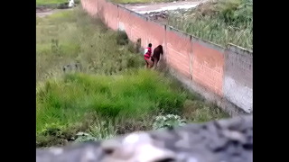 Busty Girl Outside Doggy Banged