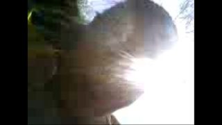 Jenny Loves Public Fucking