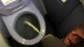 Pissing On Airplane