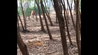 Vaghari Aunty Outdoor 5