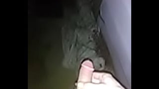 Pissing Public