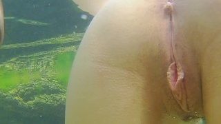 Anális Között Korallok Víz alatti Közelről Szex Cserélje ki a dugót -val Dick