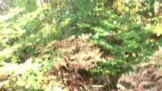 Busty Blonde Gets Fucked On Hiking Trail