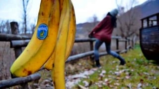 Jeg var utro mot kjæresten min ved å skli på et bananskinn!!