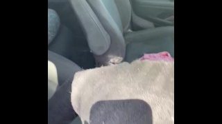 Public Car Sex Part 2.