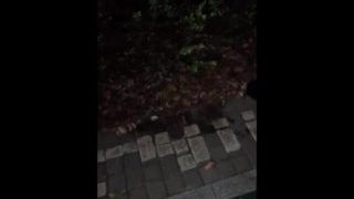 Asia Ladyboy Pissing On The Street, We All Need To Pee…