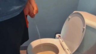 Bwc Pissing In The Women’s Restroom