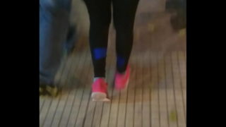 Culos En La Calles 1