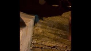 Joven Exhibicionista Masturbándose En La Calle