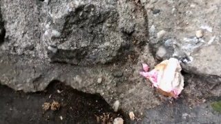 Mistress Kennya: The Public Humiliation Of My Puppy Bitch 7 Trailer