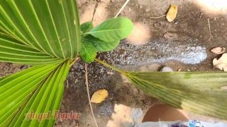 Kencing Pada Pokok Palma Kecil Saya Mandi Emas Tropika