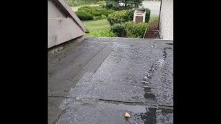 Piss On The Roof At Work