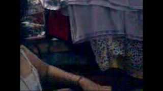 Sucking Cock Malay