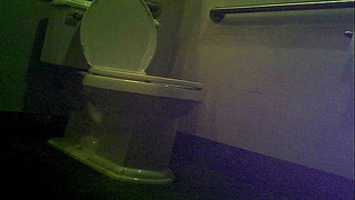 Toilet Voyeur