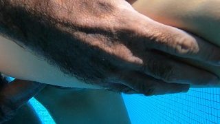 주말 스키니 딥핑은 수영장 섹스와 거대한 질내 사정 정액으로 이어집니다.