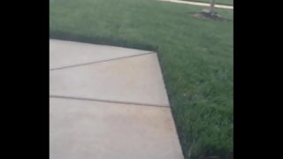 Ebony Black Booty Voyeur