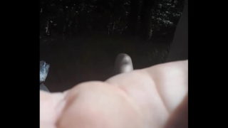 Elle M’encule En Forêt 3