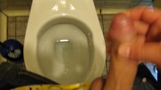 Another Public Toilet Quick Wank