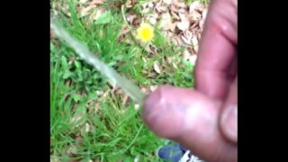 Grosse Envie Dans La Foret