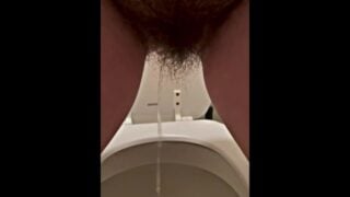 Hairy Pussy Stand Up Pee In Public Restroom