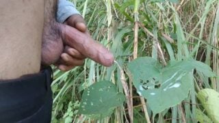 Indian Boy Cumshot In Forest