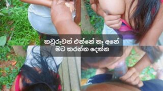 Indian Petite Village Girl Outdoor Sex – ග මන ට න ග ක ල ප නල ද ප ස ප