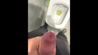 Piss In Public Toilet