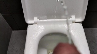 Pissing On Public Toilets