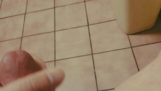 Quick Cum In Public Restroom