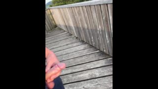 Risky Jerk Off On A Public Tourist-Tower With A Full Load Of Sperm