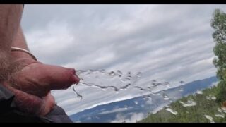 Beautiful Forest Pissing And A View