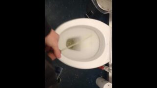 Boat Adventures: Pee In A Public Toilet