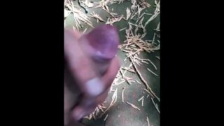 Cumshot In Forest