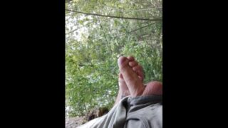 Cumshot Tree In The Forest