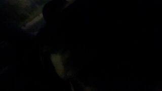 Great Head In My Car From Pregnant Stranger!