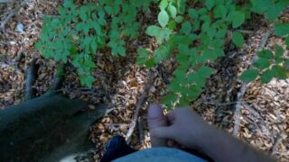 Guy Pees In The Forest And Gets Horny And Jerks Off Until He Squirts Cum In Slow Motion