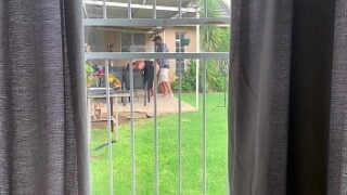 I Caught My Neighbours Fucking Outside In The Backyard