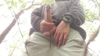 I Cum On The Forest Trying To Get Not Caught
