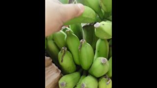 Masturbate Using Banana In The Forest