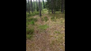 My Friend Masturbates In A Public Place In The Forest