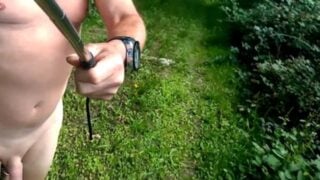 Naked Forest Walk Ball Weights