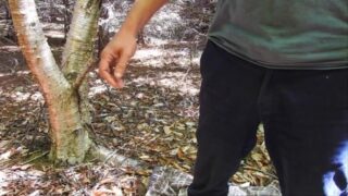 Nice Forest Pissing
