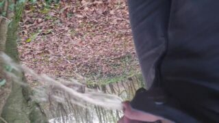 Piss In A Forest