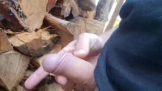 Pissing And Then Jerking Off In The Forest
