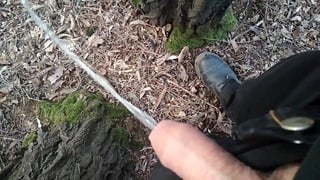 Pissing In The Forest – Uncut Penis Outdoor Piss